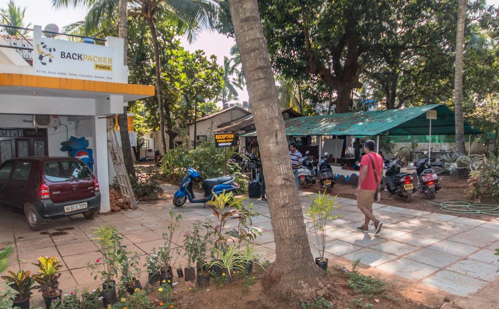 Backpacker Panda Goa Hostel Calangute Kültér fotó