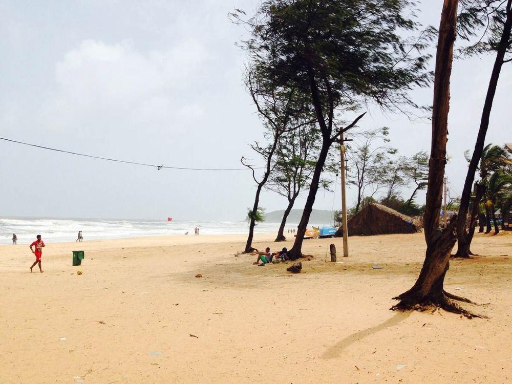 Backpacker Panda Goa Hostel Calangute Kültér fotó